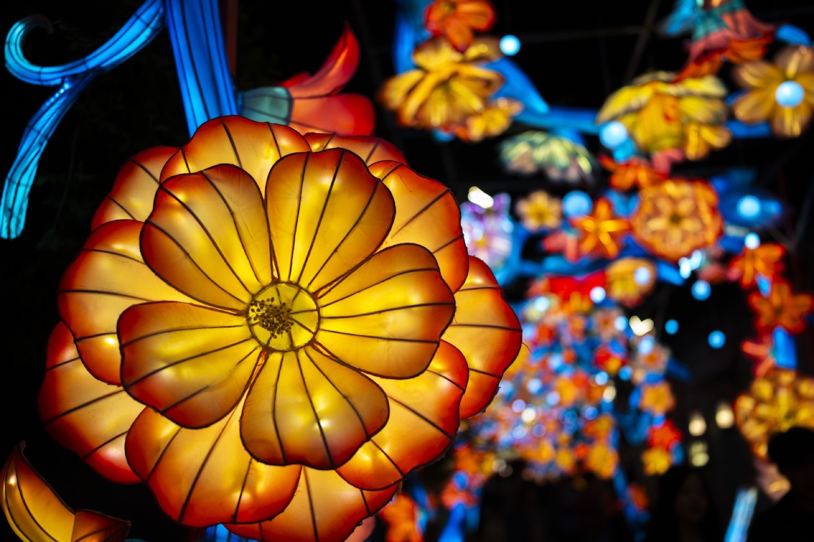 Glowing paper lanterns at a night festival.