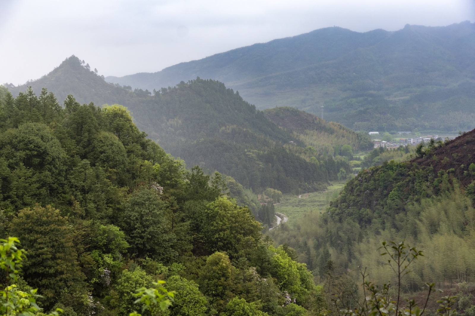 Mist-wrapped green mountains above a village in the valley of Jiangshan.
