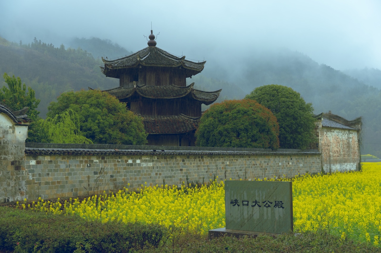 An old wooden pagoda rising over rapeseed fields at the edge of Guangdu Cun.